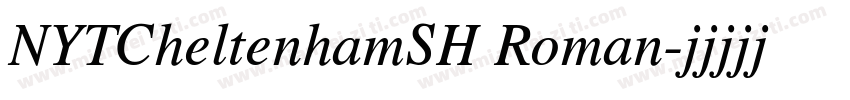 NYTCheltenhamSH Roman字体转换